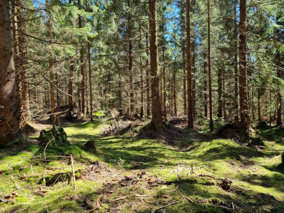 Apartman Felix Vaclavov u Bruntalu Esterno foto
